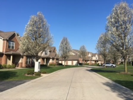 Waterford Place Apartments & Villas Image 10