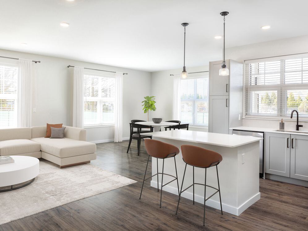 Kitchen and living/dining area with hard surface flooring