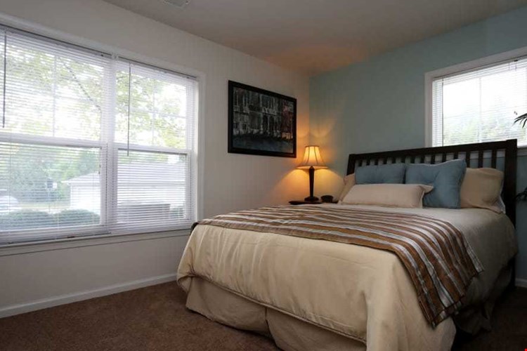 The Reflections of West Creek Image 10