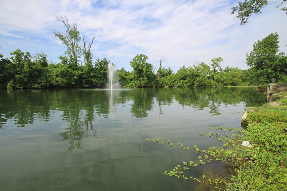 Lake of the Woods Image 49