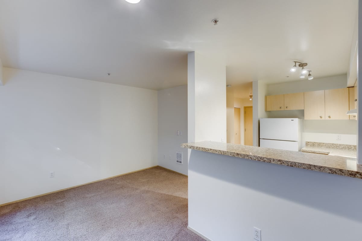 Sir Gallahad Image 5