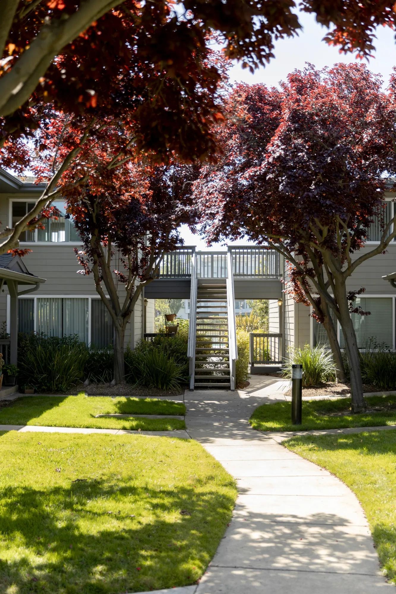 Chesapeake Point Image 8