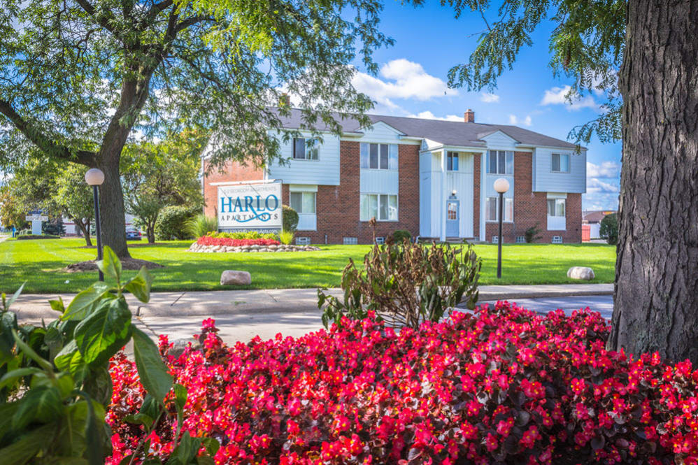 Harlo Apartments Image 1