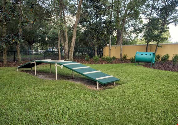 Camden Royal Palms Image 20