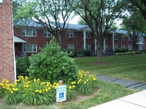 Lawrenceville Gardens Image 6