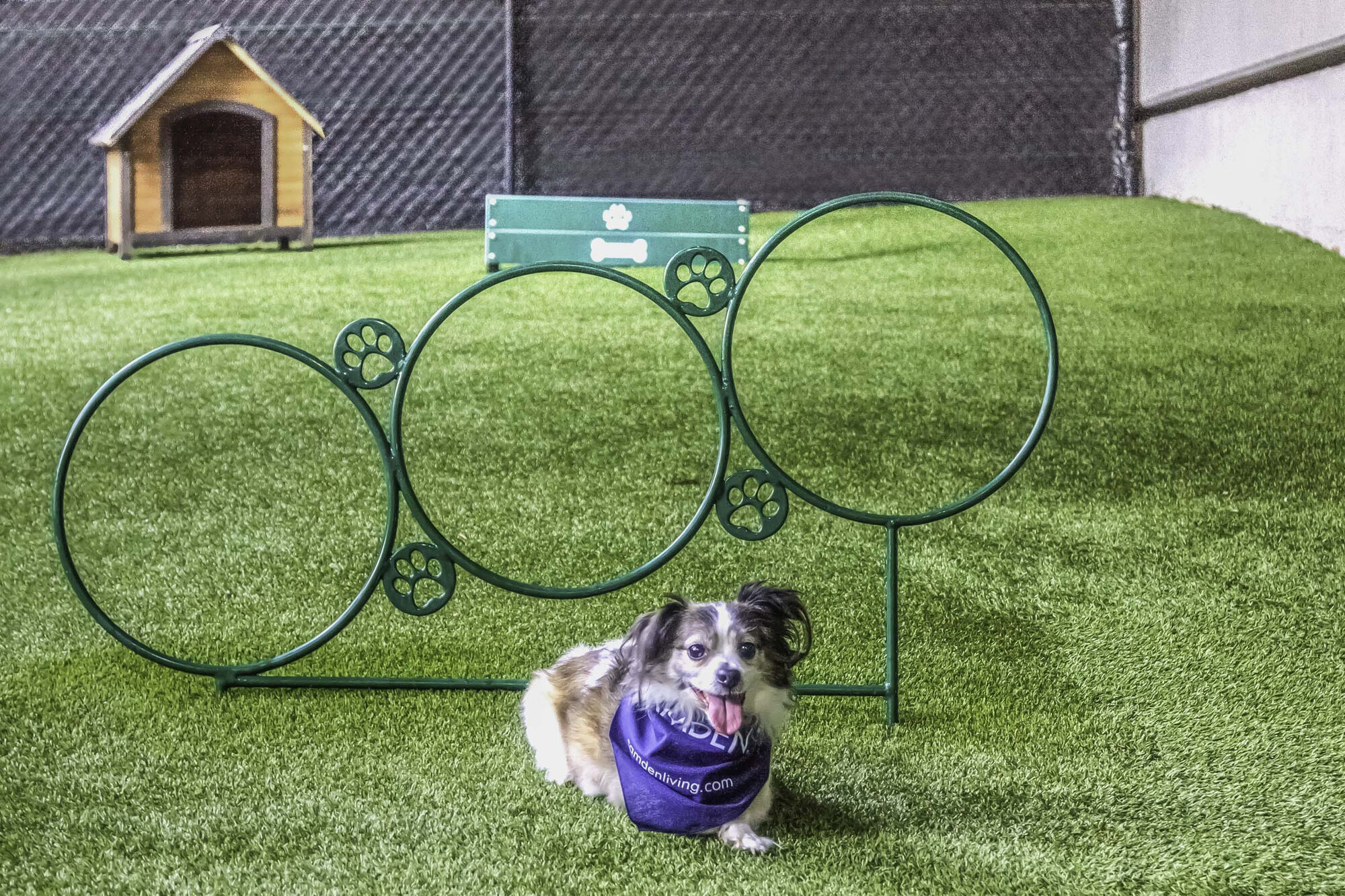 Camden Phipps Image 22