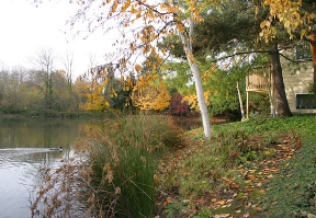 Lakeview Park Image 4