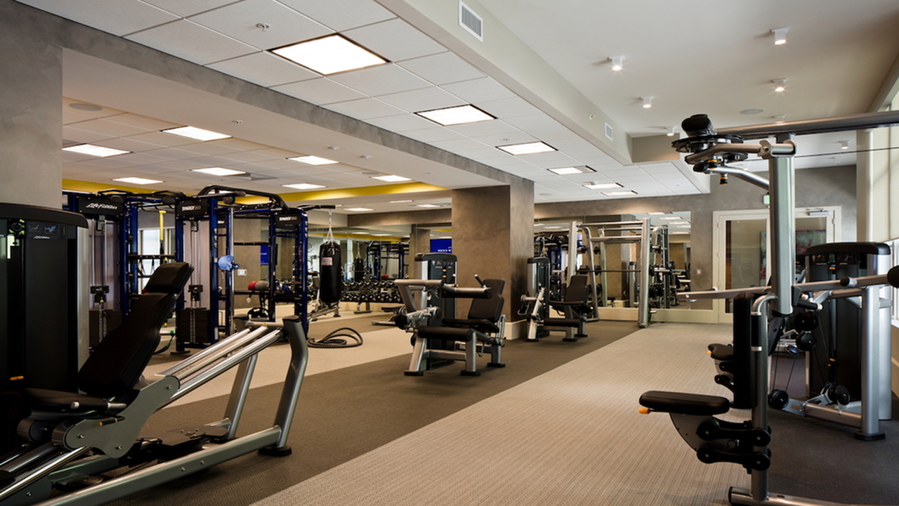 Cardio machines, weight machines and punching bag.