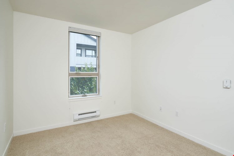 Springline  Image 23