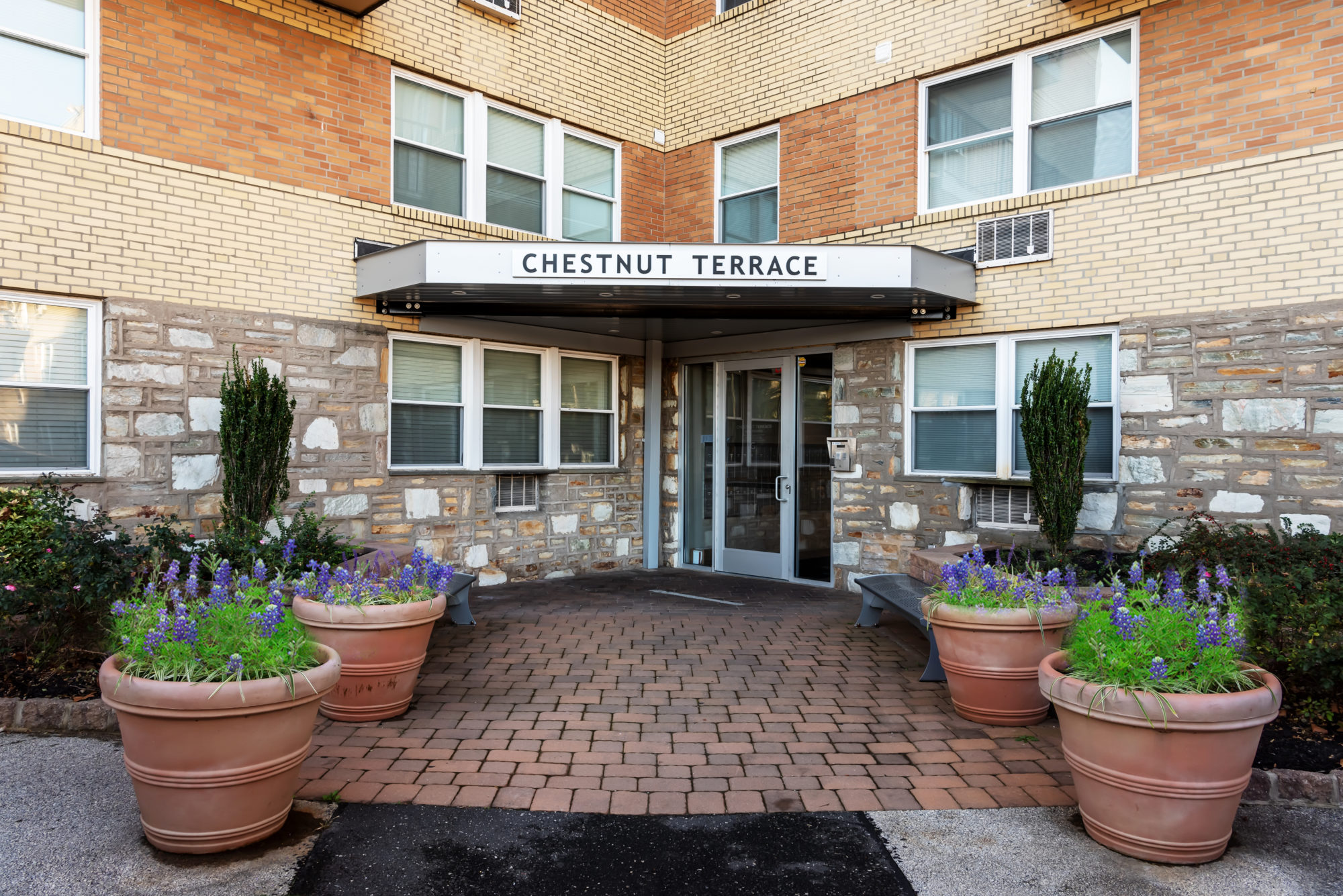 Chestnut Terrace Image 1