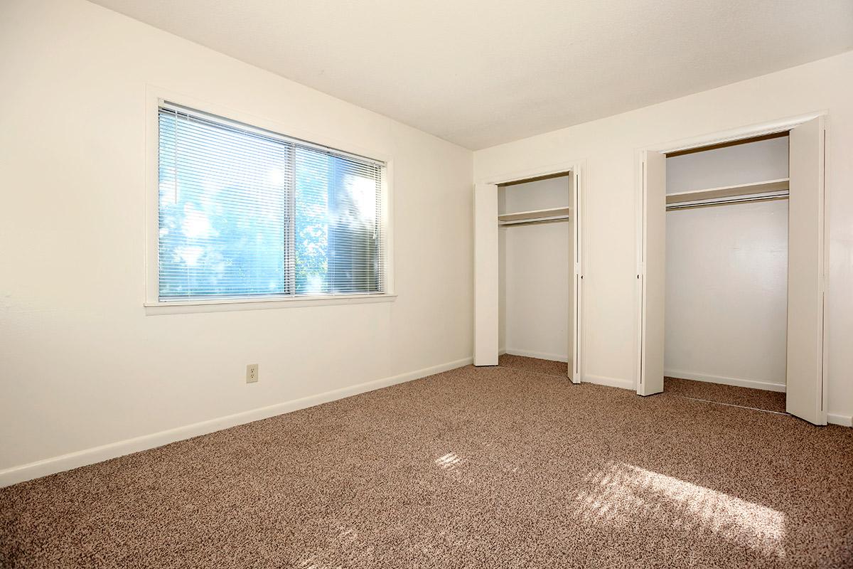 Patrician Terrace Image 5