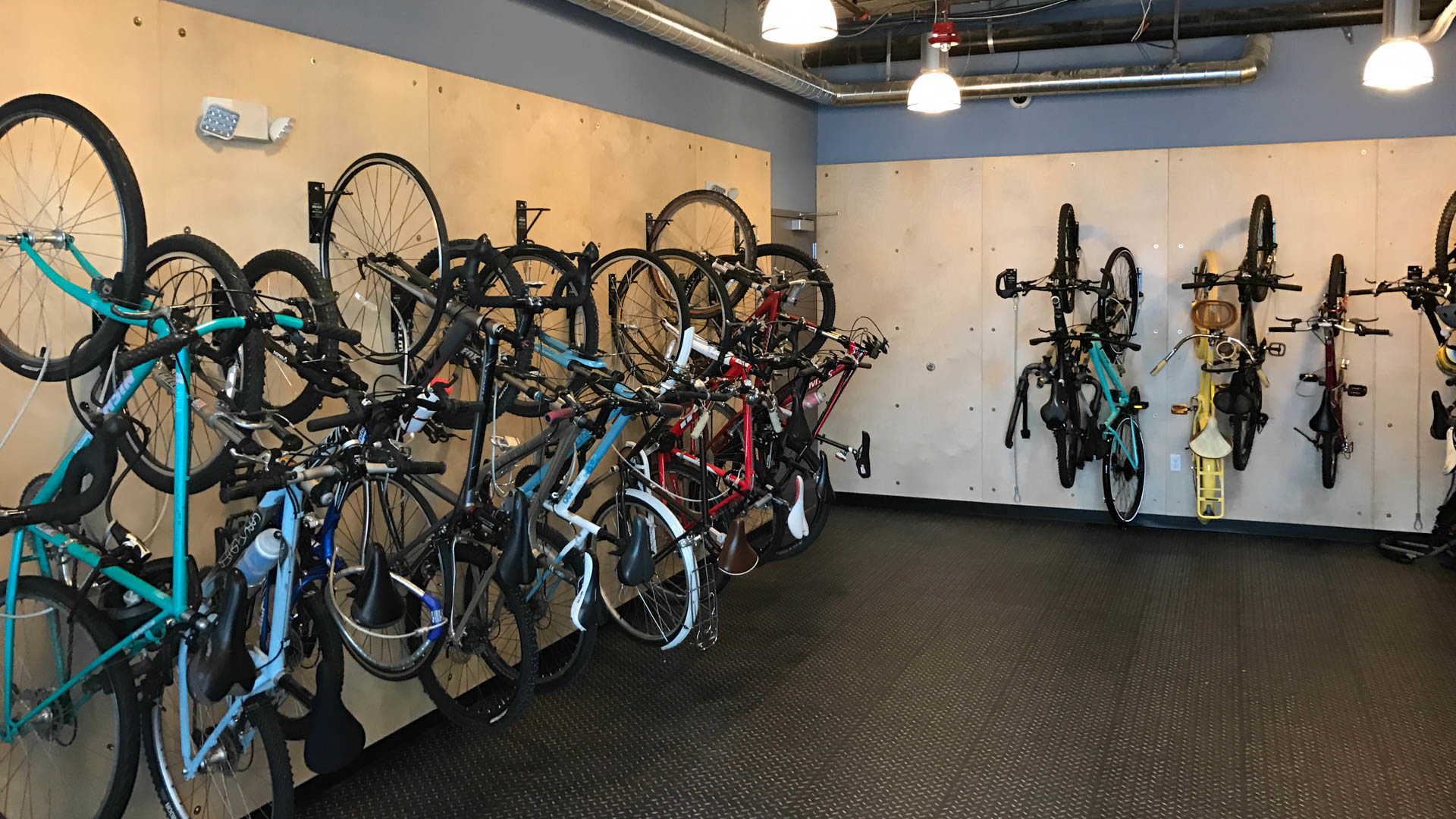 Springline  Image 29