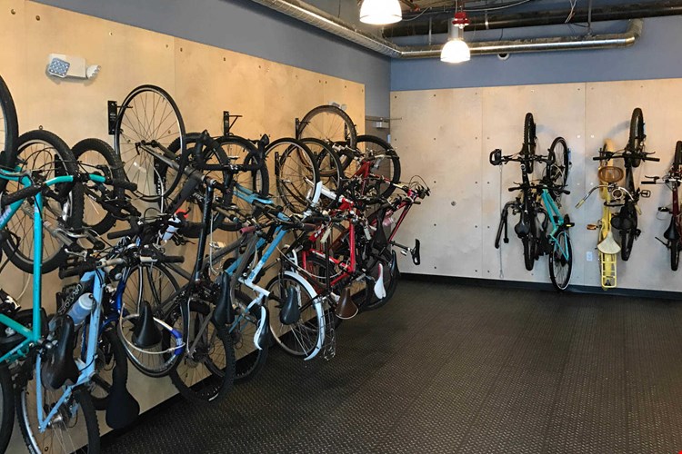 Springline  Image 29