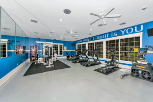 Enclave at Copperfield Image 5