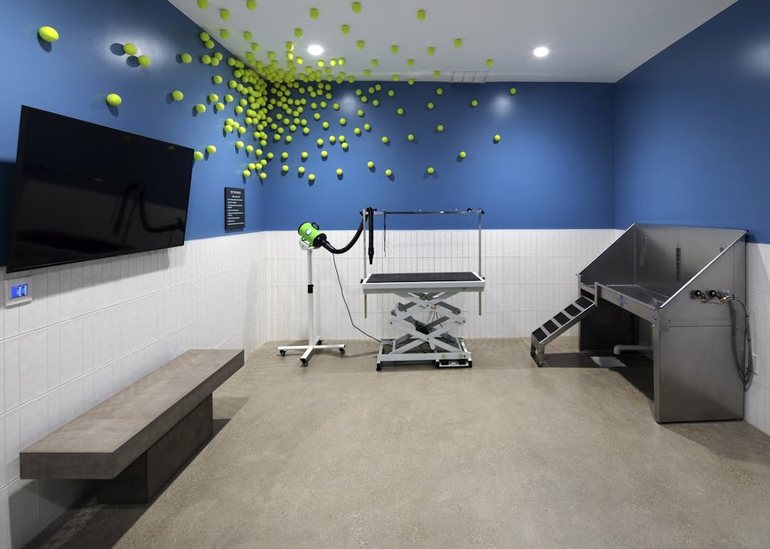 AMLI Park Broadway Image 9