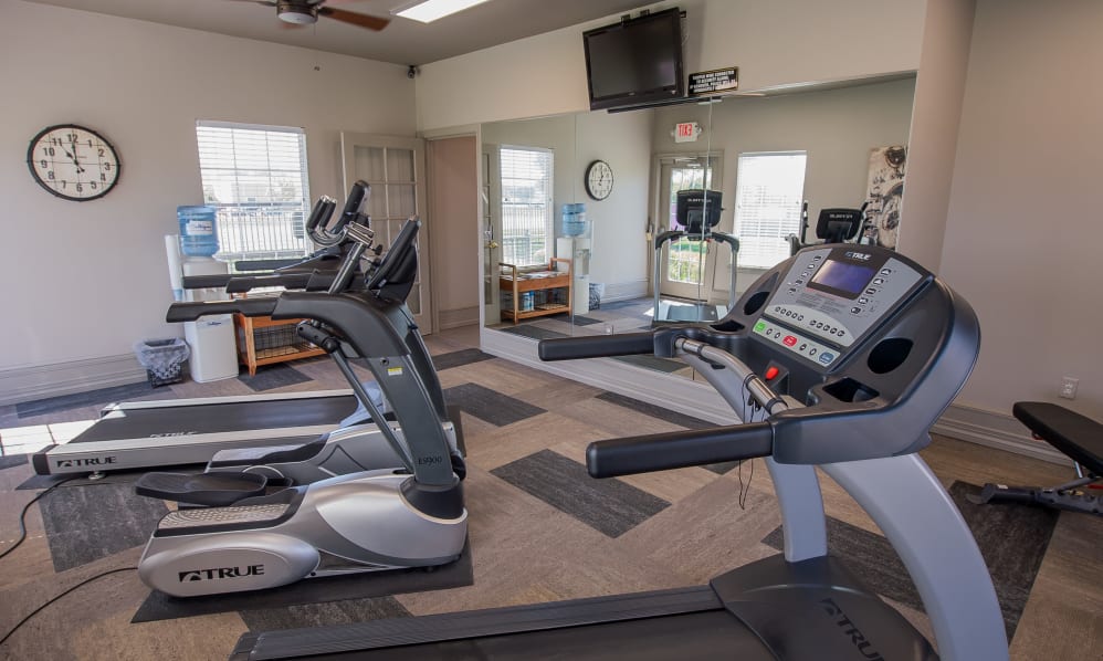 The Remington Image 5