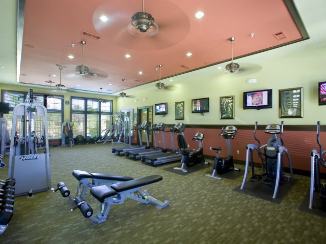 Luxury Apartments with Gym