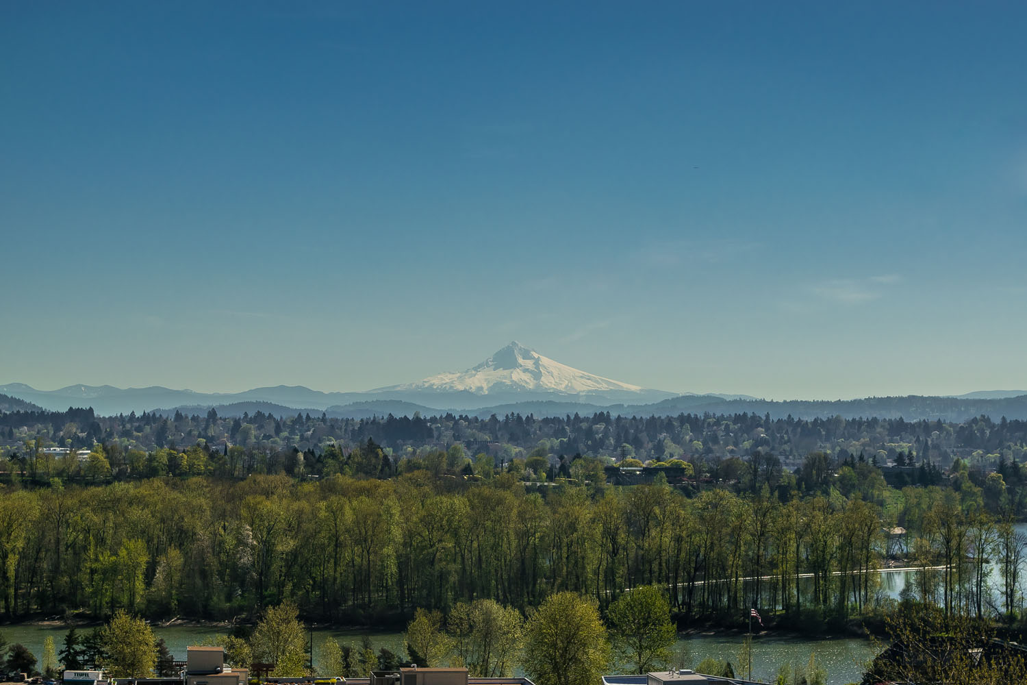 Corbett Heights Image 6