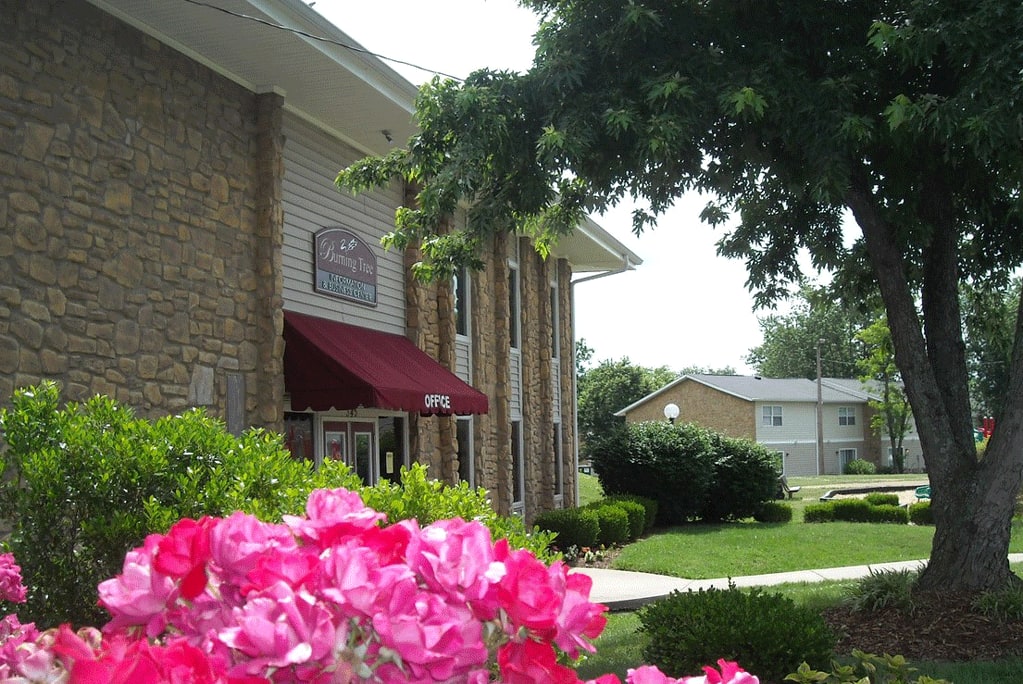 Burning Tree Image 3