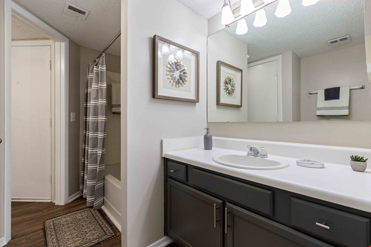 Wellspring Apartments Image 8