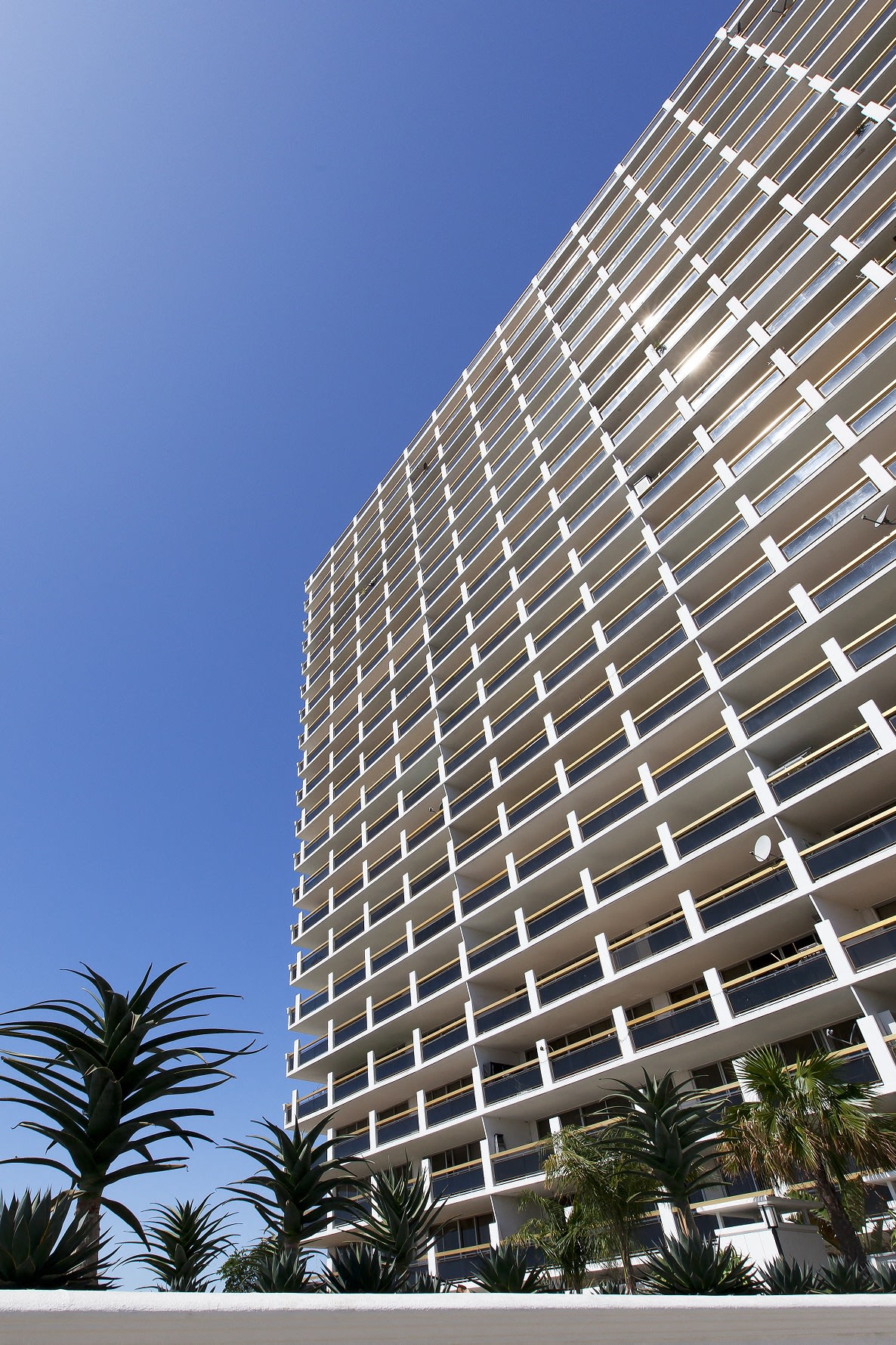 No 1200 Lakeshore  Image 5