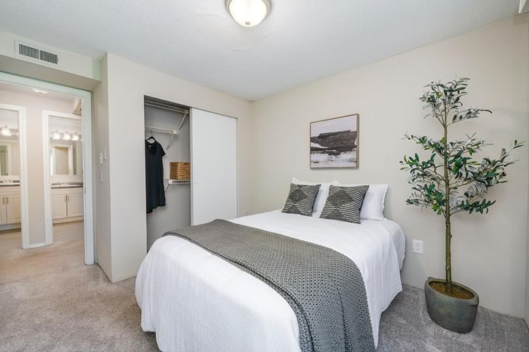 Spacious bedrooms featuring plush carpeting and large windows.