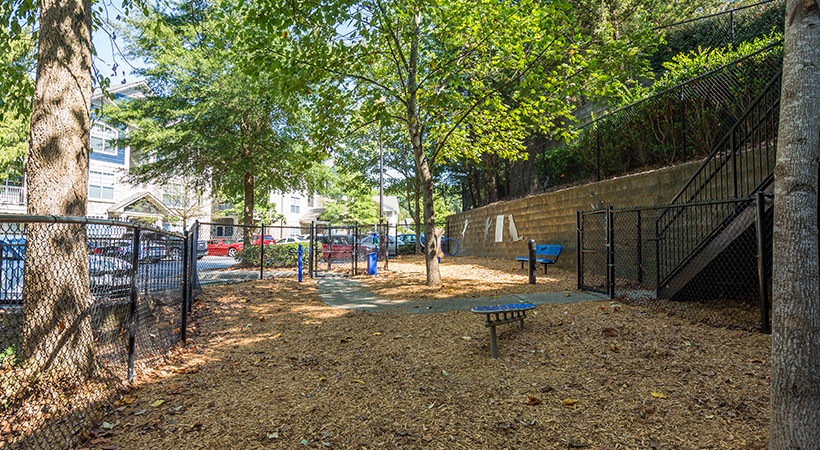 Anderson at Clairmont Image 6