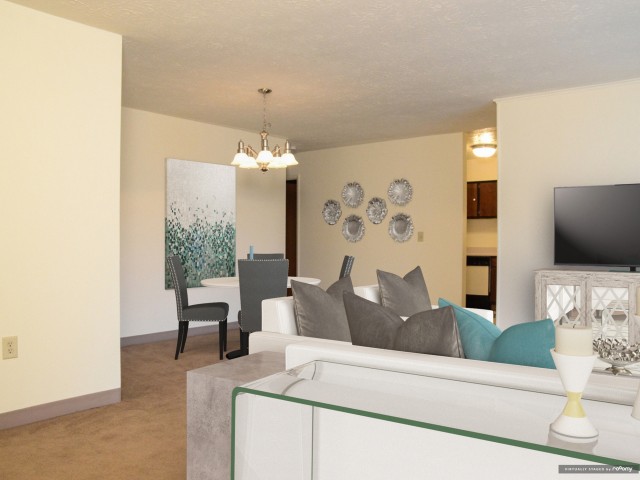 Modern Living Room/Dining Room