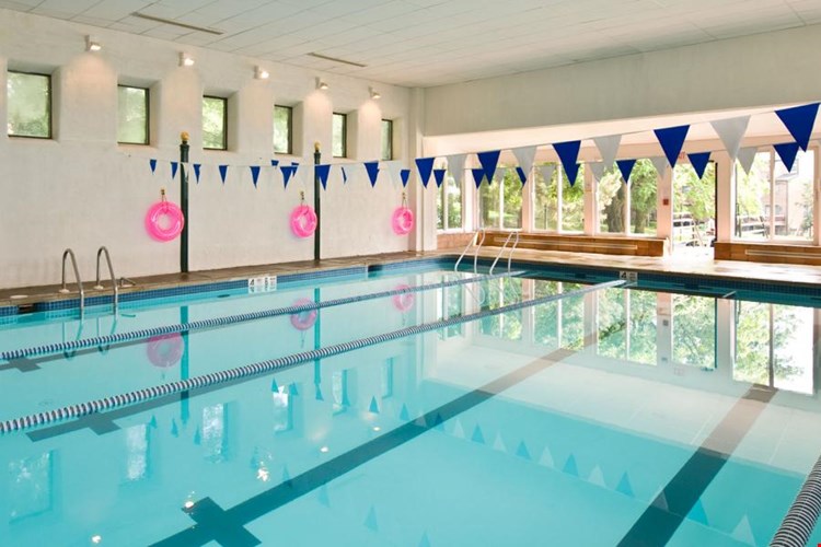 Paladin Club Image 6