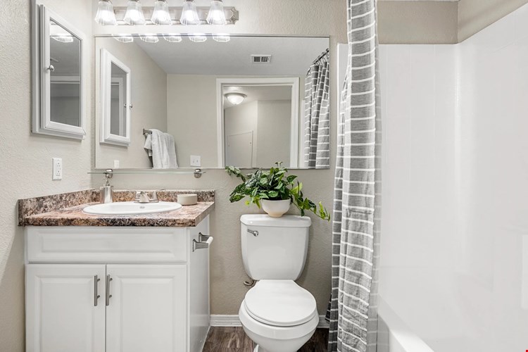 Brighten your day in a beautifully remodeled bathroom. Immerse yourself in vanity lighting, granite-styled counters, and mirrors that shine like stars.