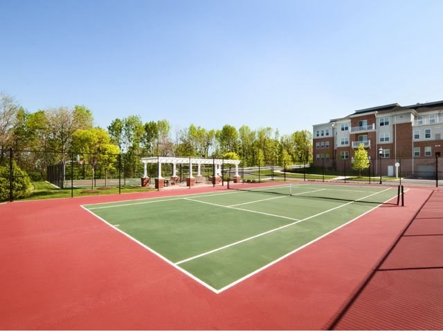 Play a game of tennis.