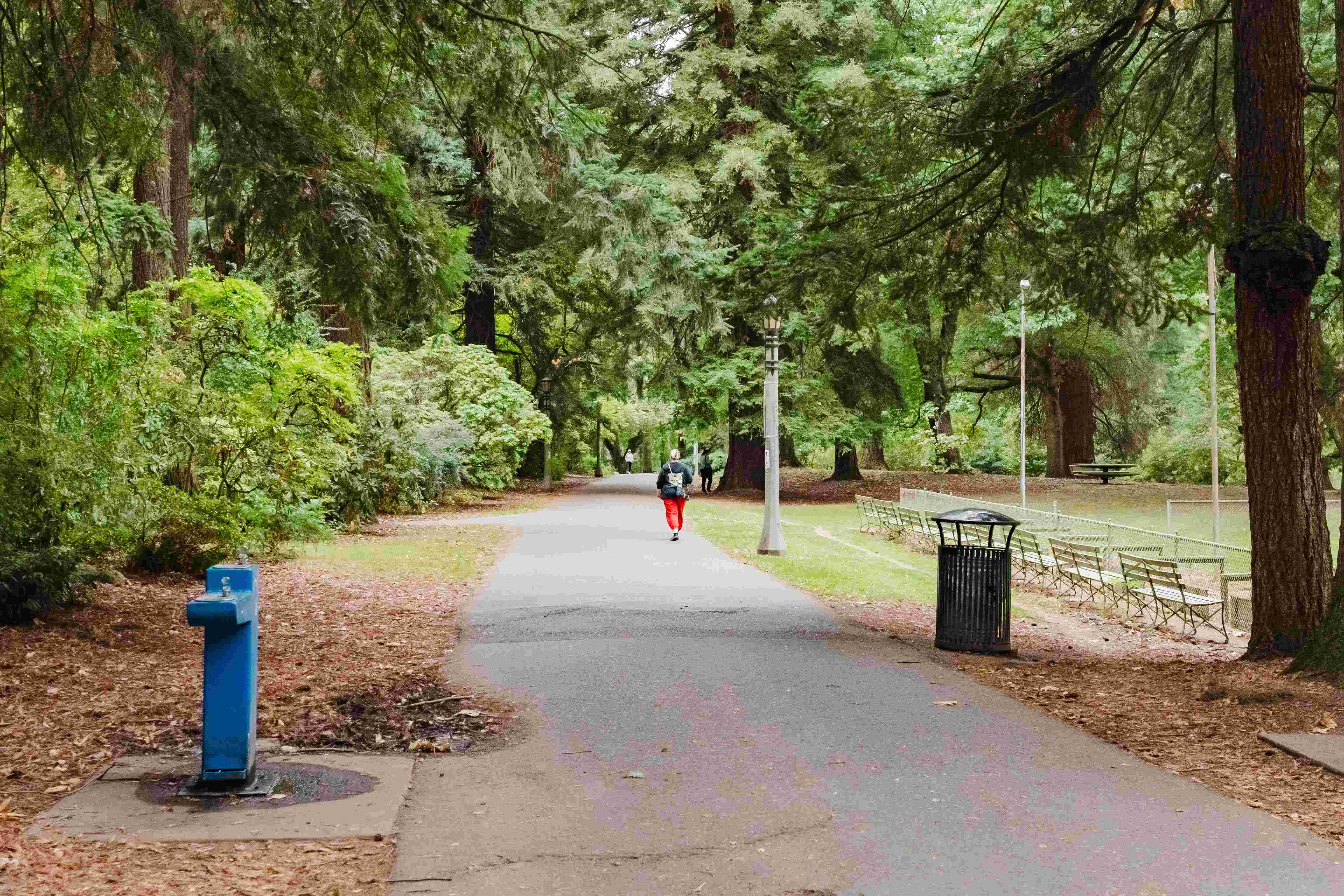 Laurelhurst Park | Buckman Neighborhood