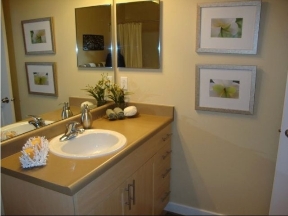 Echelon Apartments Image 11