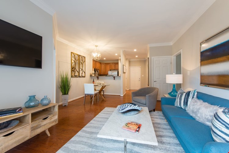 Cosmo at Lorton Image 8