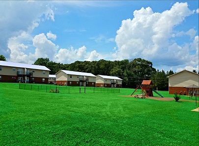 Dog Park & Playground!