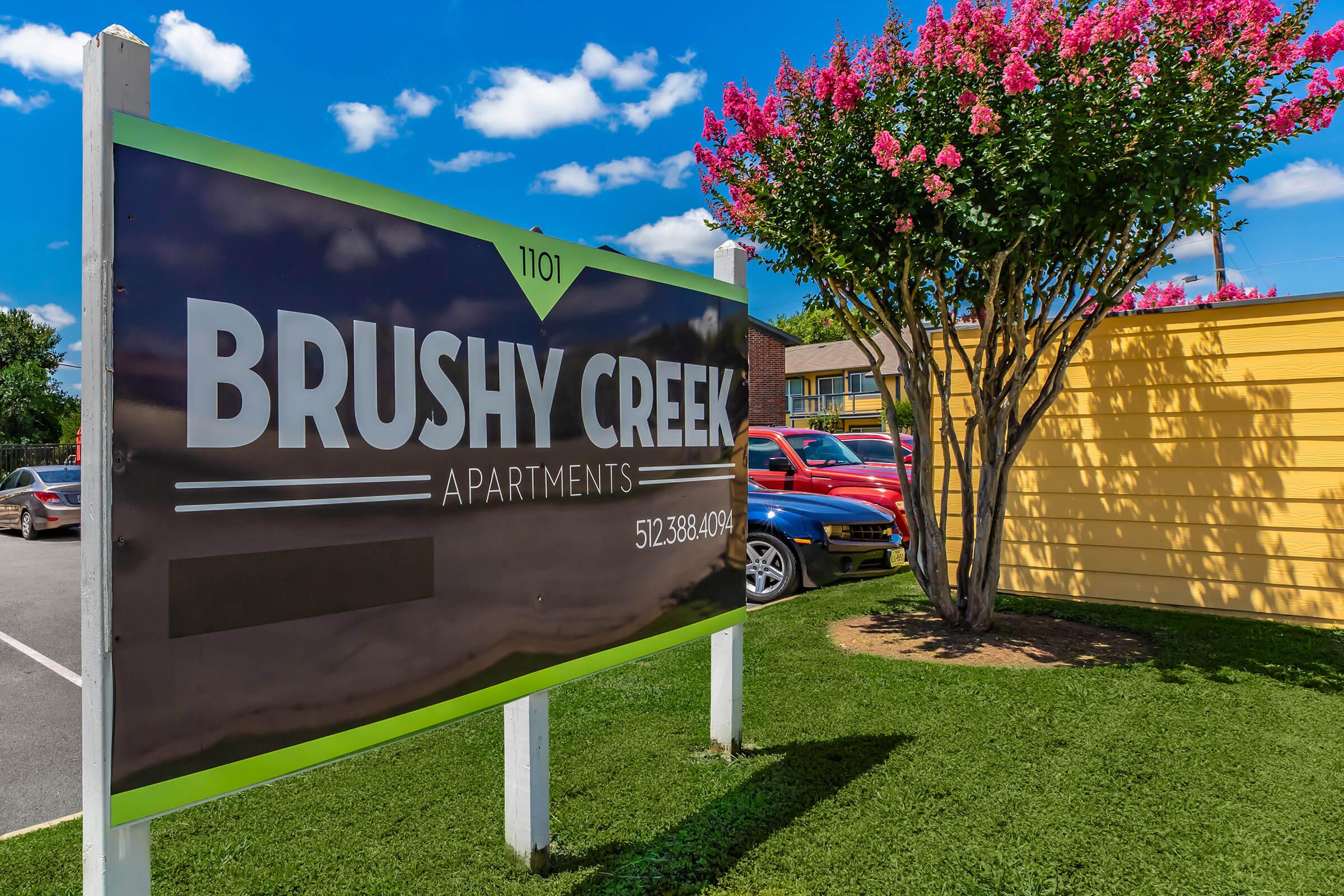 Brushy Creek Village Image 1