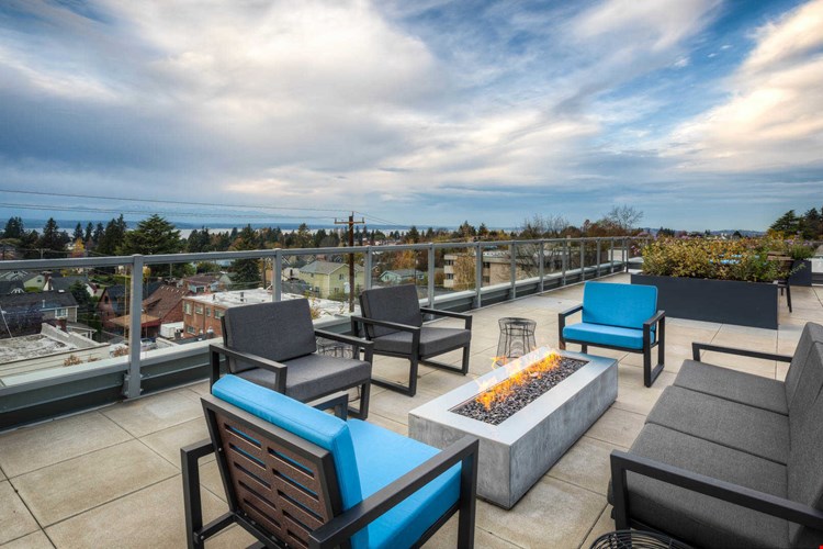 Springline  Image 36