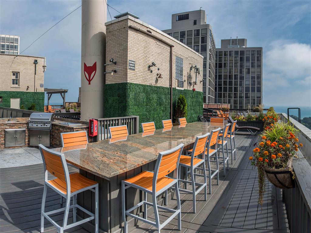 The Patricians Image 8