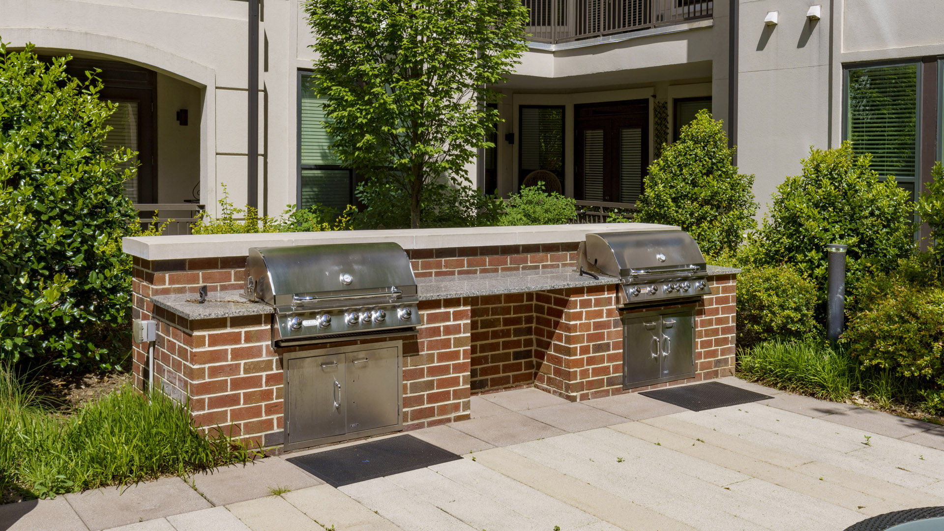 The Collection Image 29