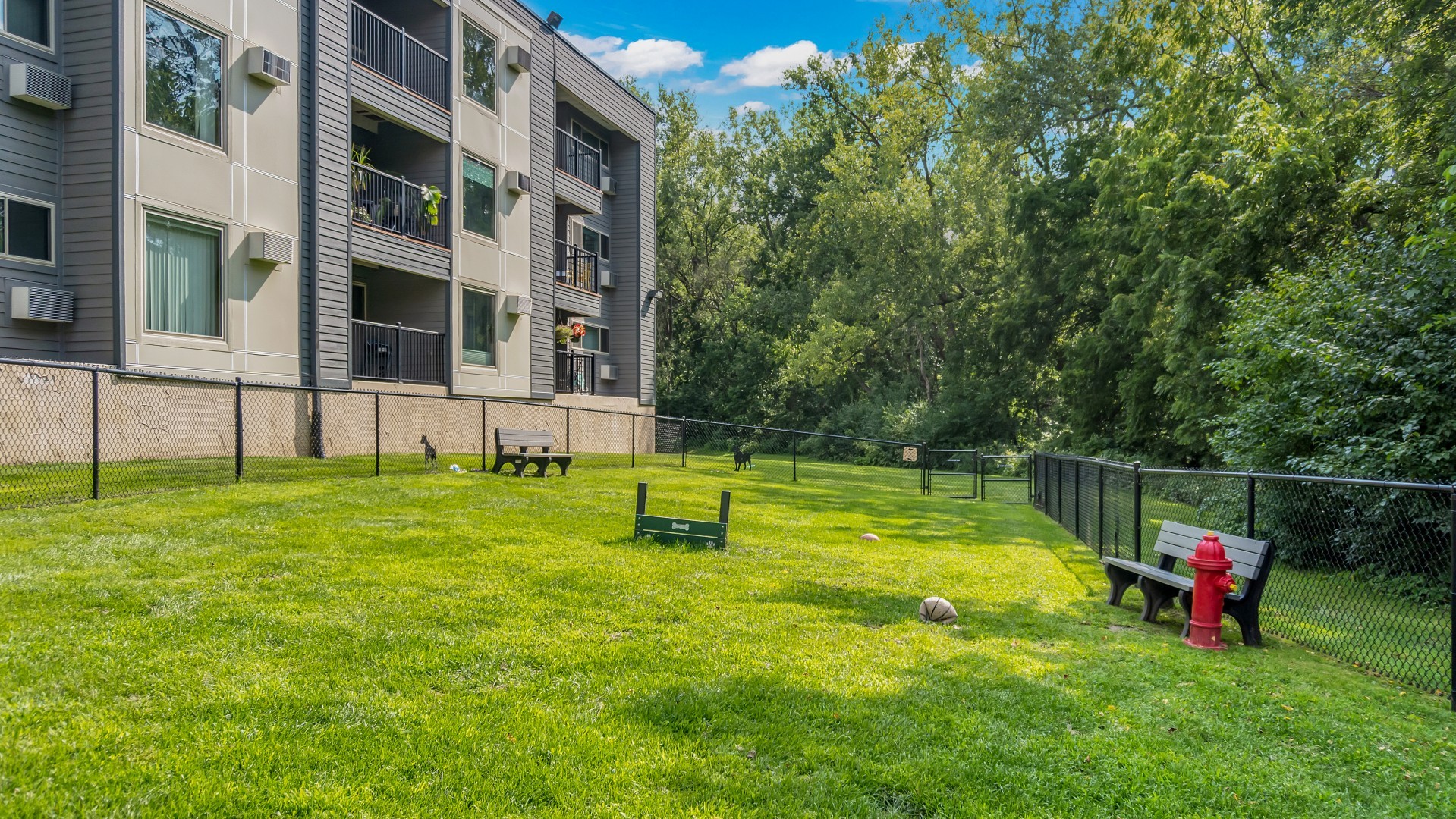 Hillsborough Apartments Image 4