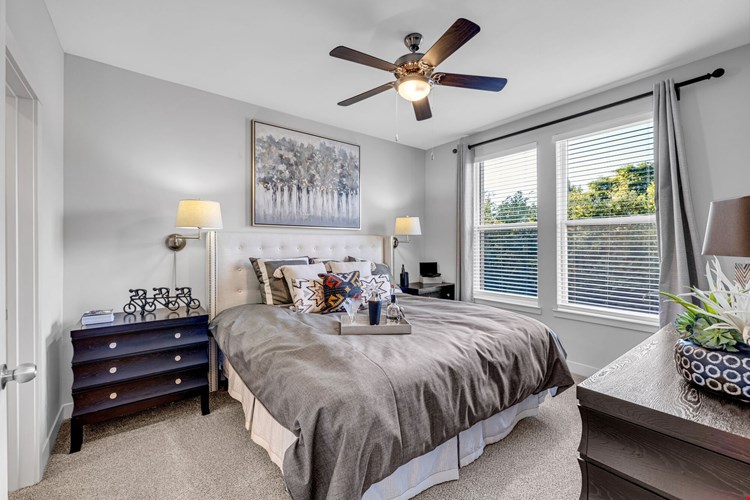 Artessa Apartments Image 5