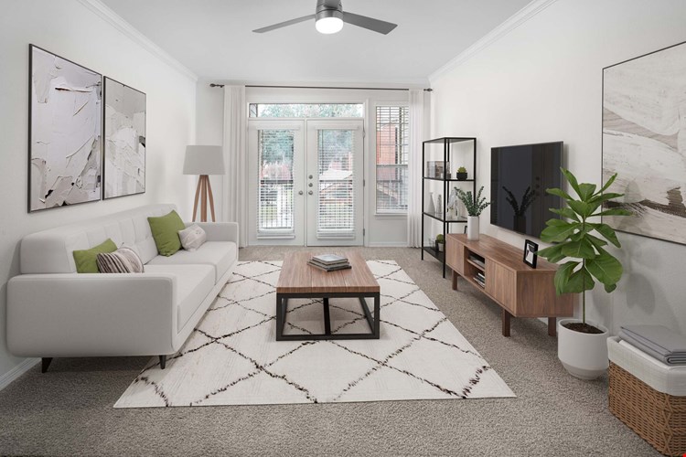 Camden Addison Image 8