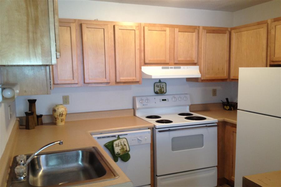 Terrace Creek Image 8