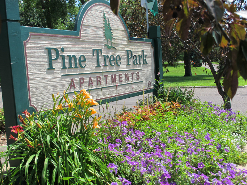 Pinetree Park Image 1