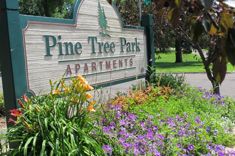 Pinetree Park Image 1