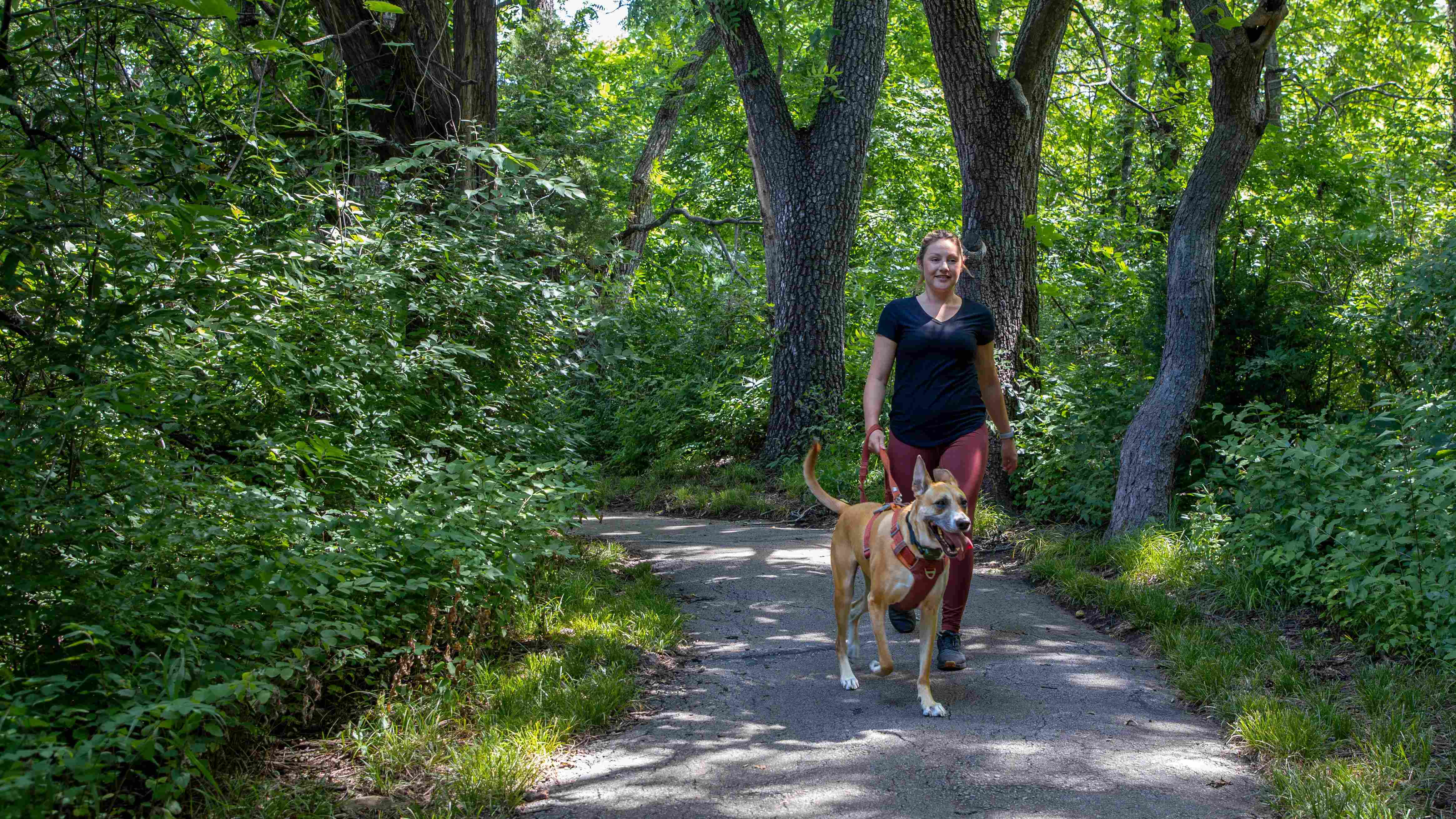 Take a peaceful stroll through the scenic pathways of Lenox West, surrounded by nature's beauty.