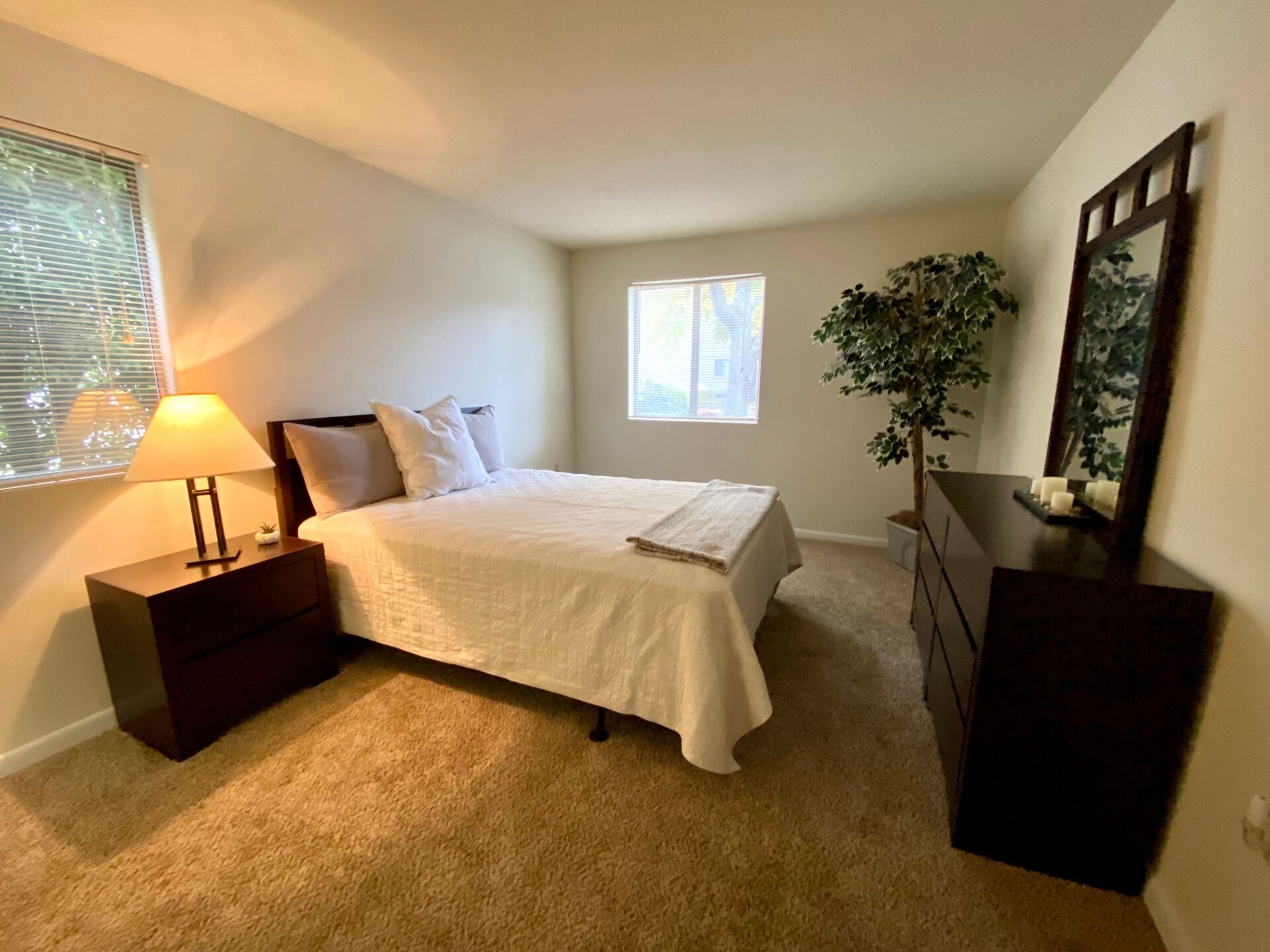 Woodview Terrace Image 6