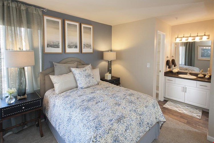 Mill Springs Park Apartment Homes Image 15