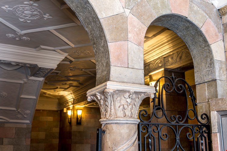 Elmwood Apartments Image 3