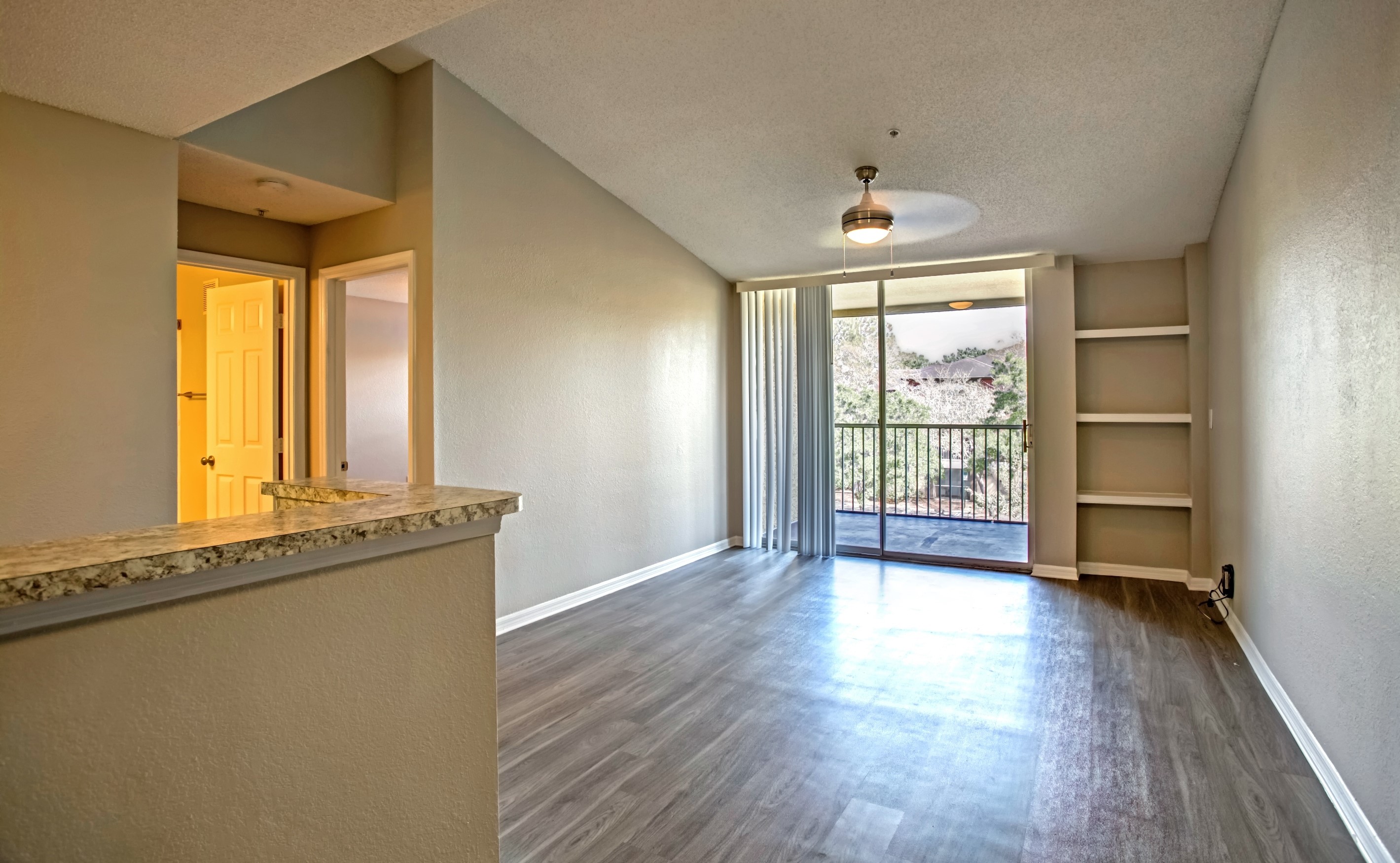 Sabal Palm at Carrollwood Image 5